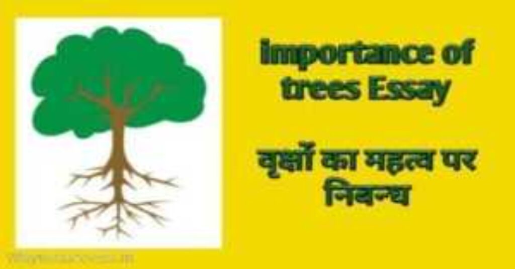 importance of trees Essay